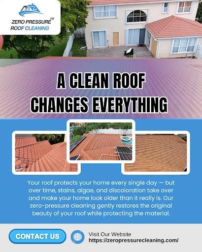 Exterior Cleaning