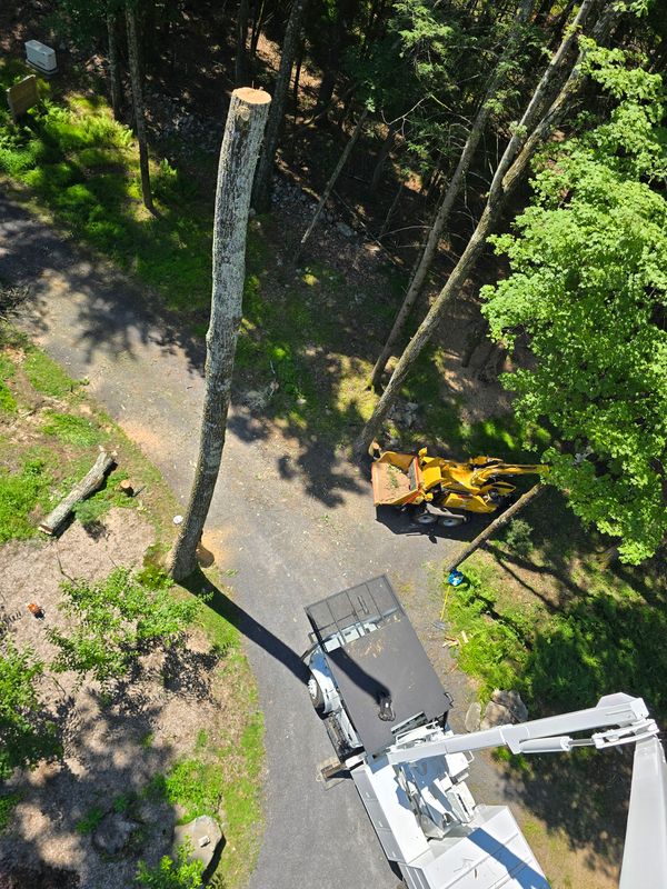Land Clearing and Site Work