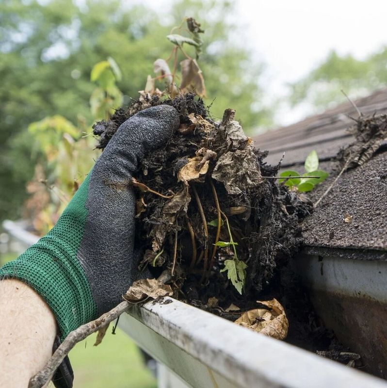 Gutter Clean Up