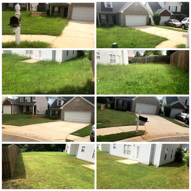 Lawn Care & Maintenance