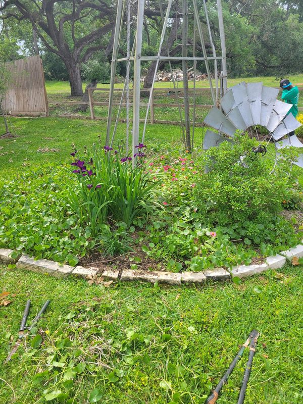 Landscaping Designs