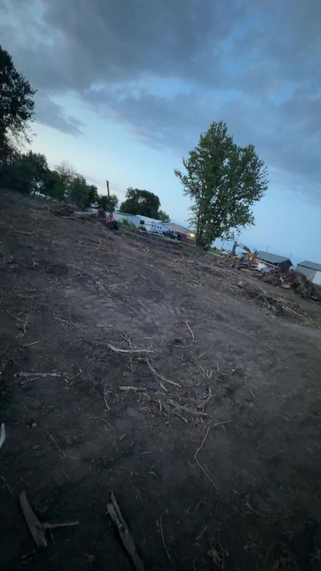 Land Clearing