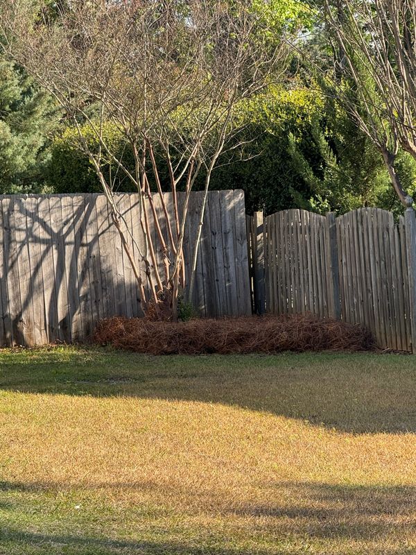 Fencing