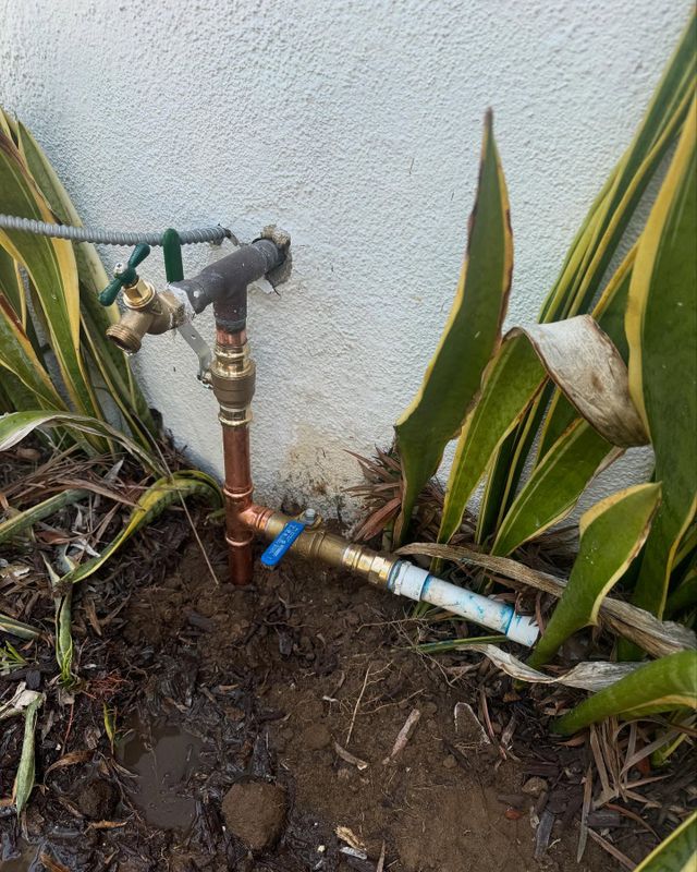 Leak Detection and Repair