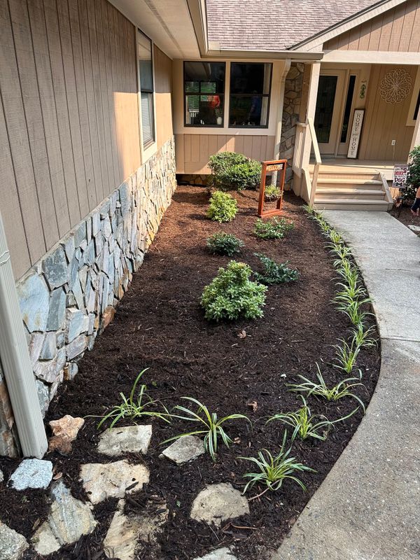 Landscape Design & Installation