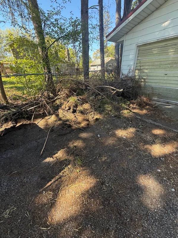 Fall and Spring Clean Up