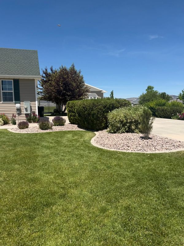 Landscape Design & Installation