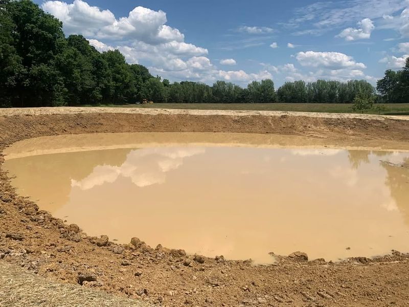 Building & Cleaning Ponds