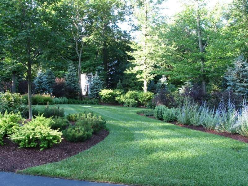 Landscaping