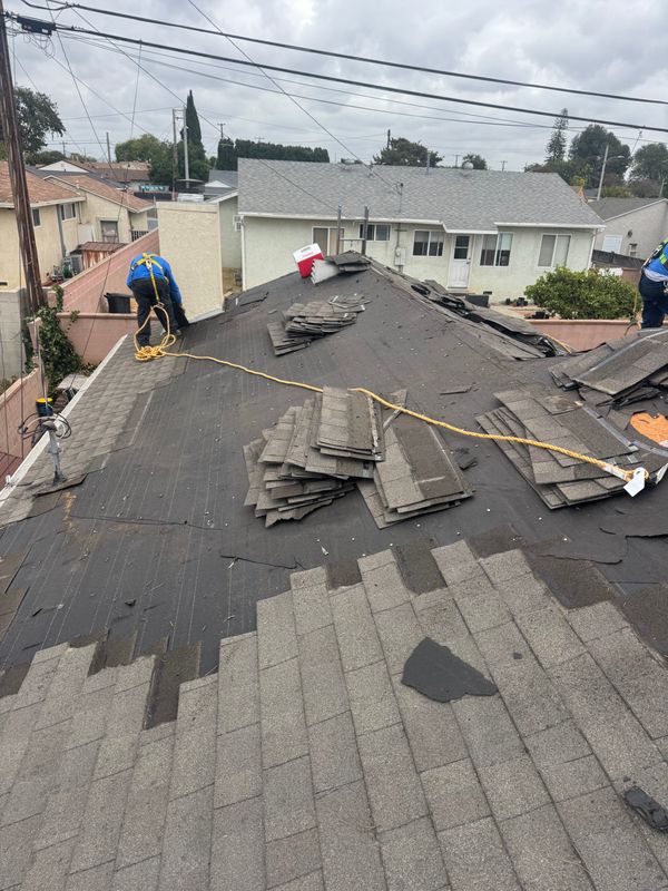 Roofing Repairs