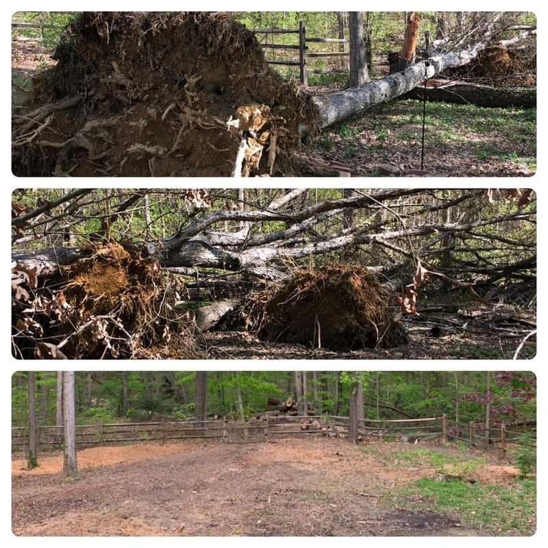 24/7 Storm damage