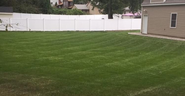 Mowing