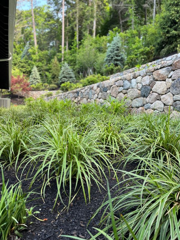 Retaining Wall Construction