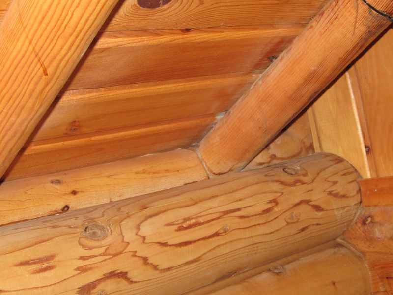Interior Renovations
