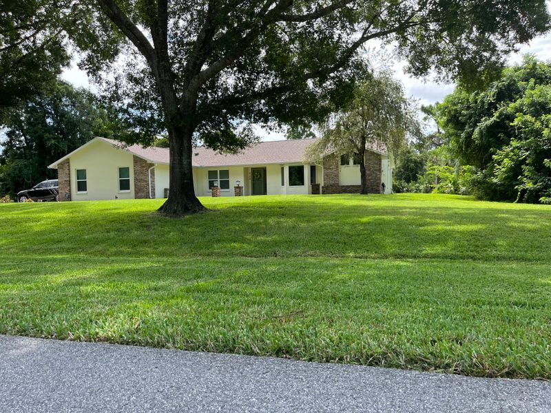 Lawn Maintenance