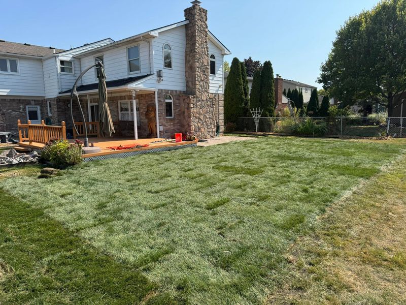 Landscaping