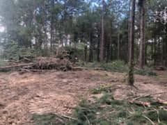 Land Clearing