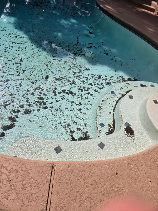 Pool Cleaning Services