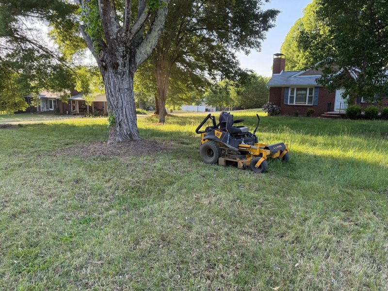 Landscaping & Hardscaping