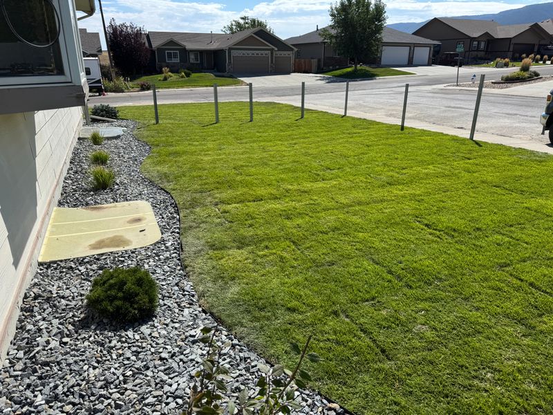 Landscaping 