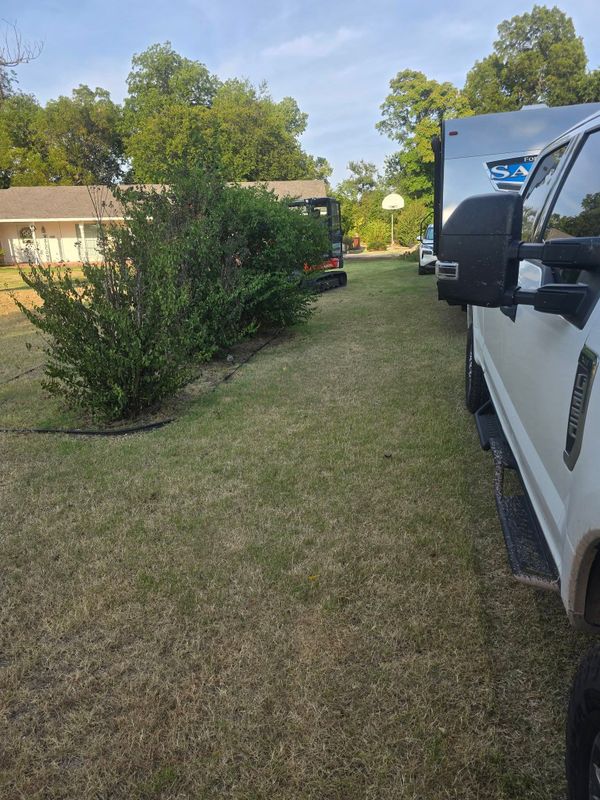 Land Clearing and Vegetation Removal