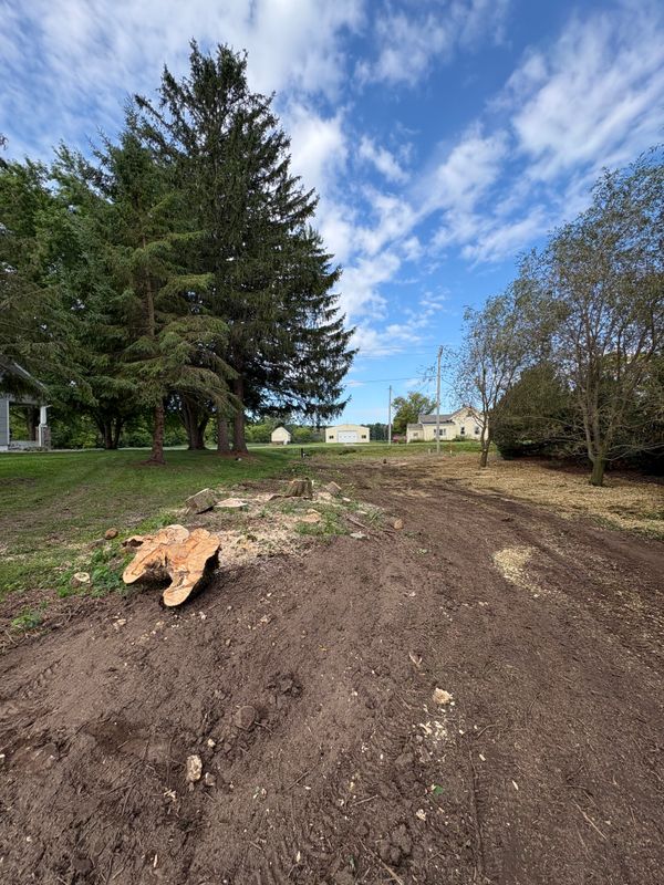 Land Clearing