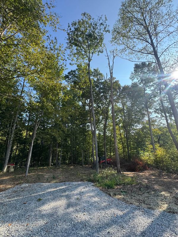 Lot Clearing