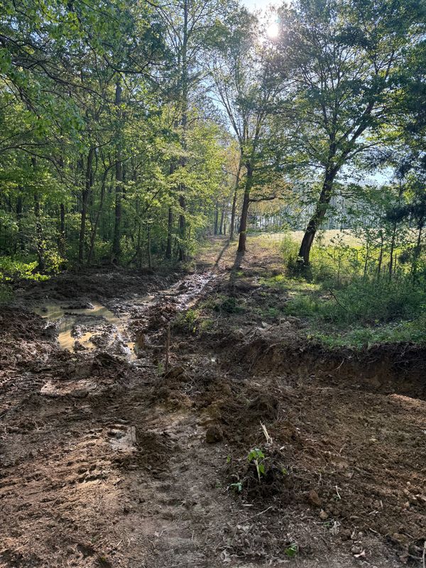 Brush Clearing