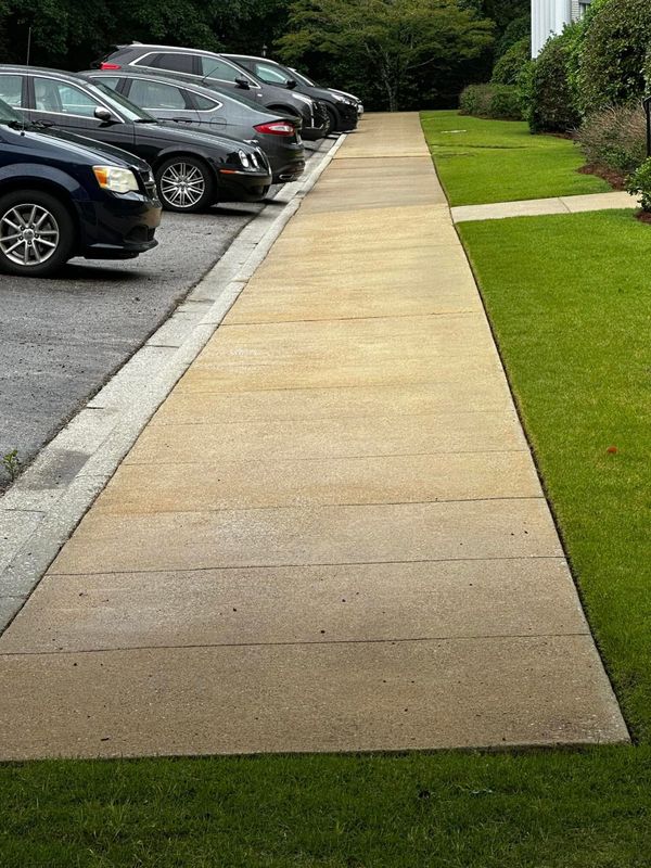 Driveway and Sidewalk Cleaning