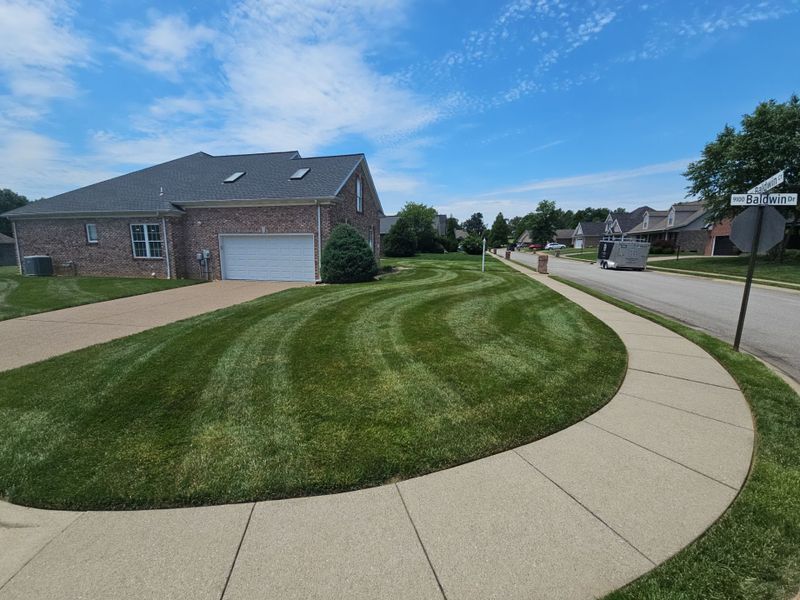 Lawn Maintenance Service