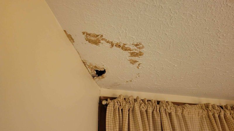 Interior Renovations
