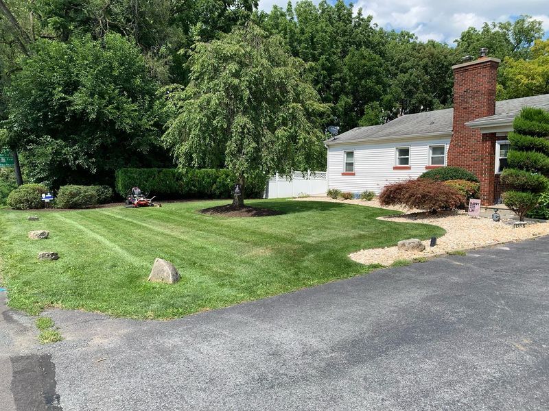Lawn Care