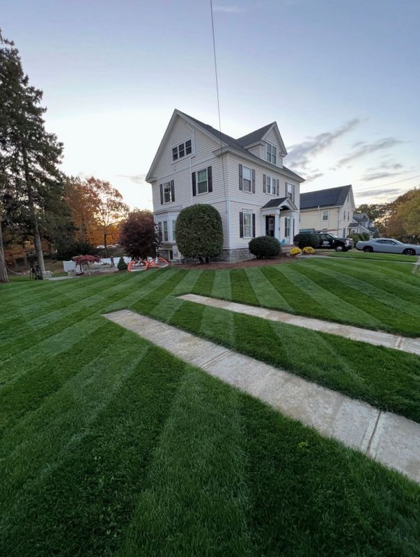 Lawn Maintenance