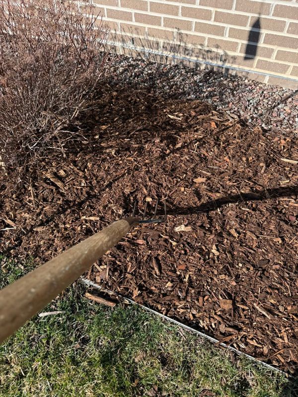 Lawn Maintenance