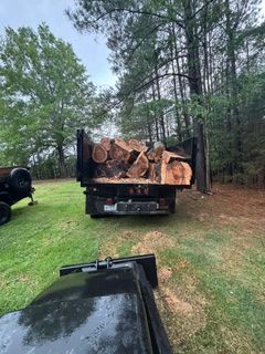 Tree Removal