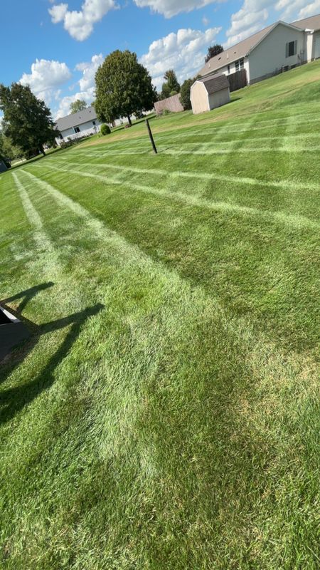 Lawn Rolling