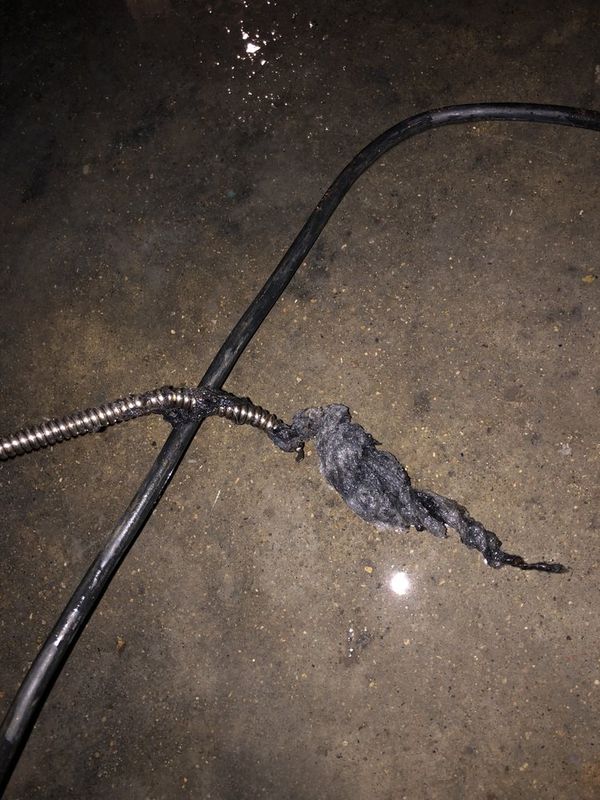 Drain Cleaning