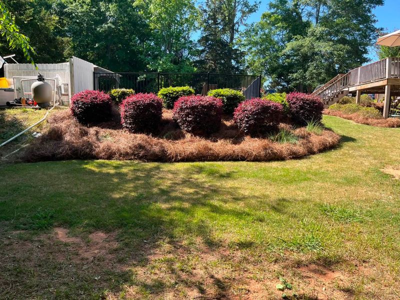 Sod & Irrigation