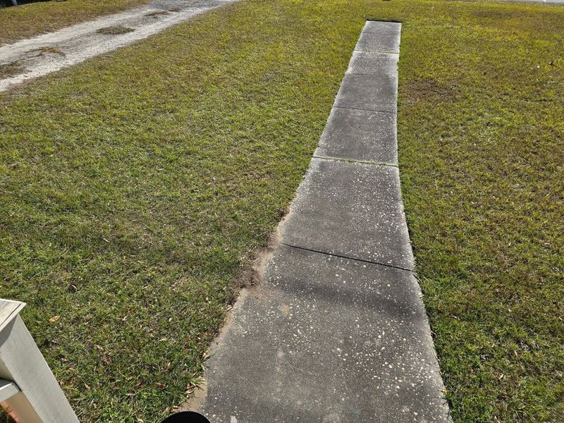 Walkway and driveway cleanup
