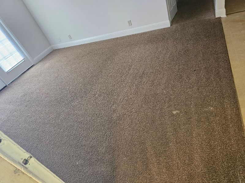 Carpet Cleaning