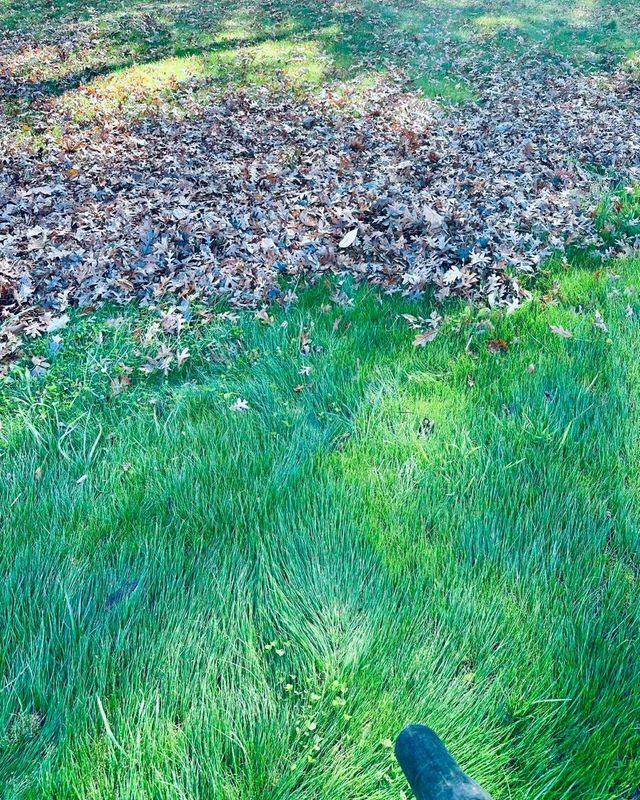 Spring and Fall Clean Up