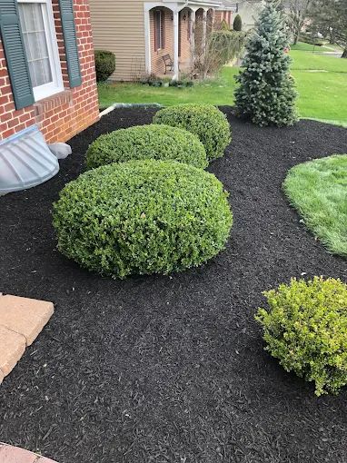Lawn Care, Mulch, & Sod