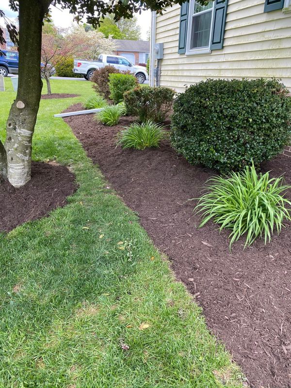 Landscaping