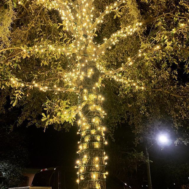 Christmas Light Installation