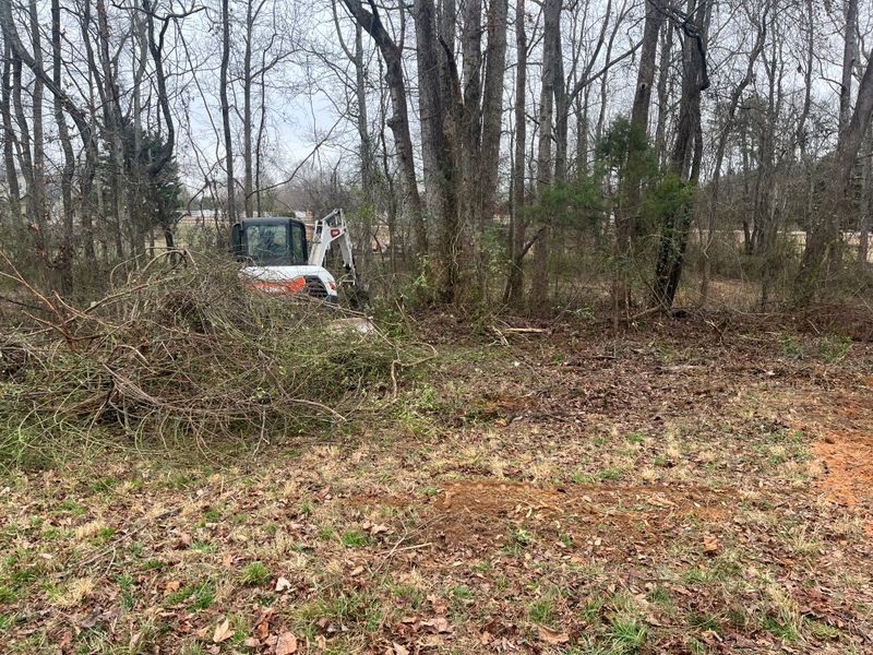 Land Clearing