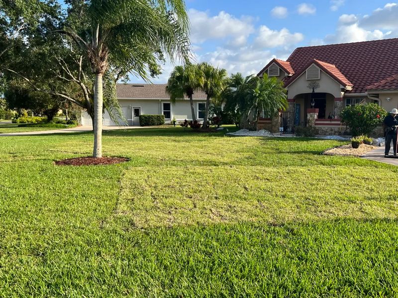 Lawn maintenance