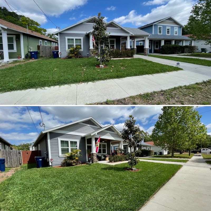 Landscaping