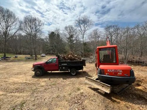 Brush & Tree Removal