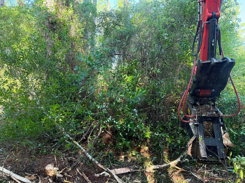 Land Clearing