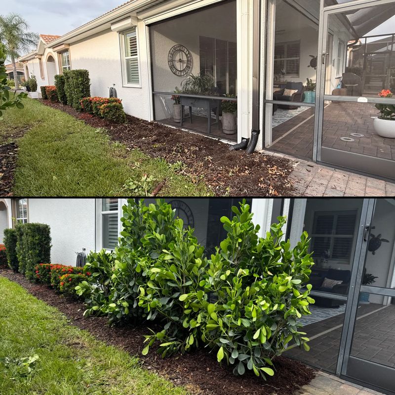 Landscape Design and Construction